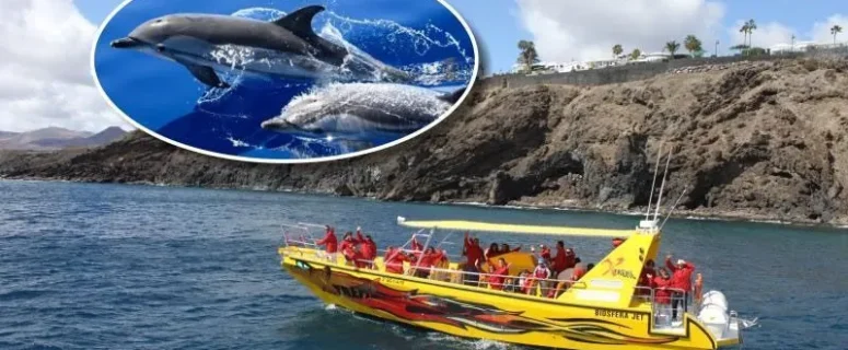 Excursión para ver delfines en Lanzarote al atardecer Excursión para ver delfines en Lanzarote al atardecer